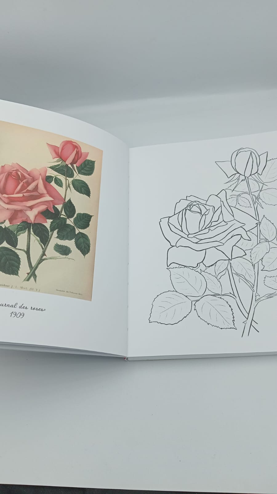 Livre - coloriages avec des fleurs - AZUVIA
