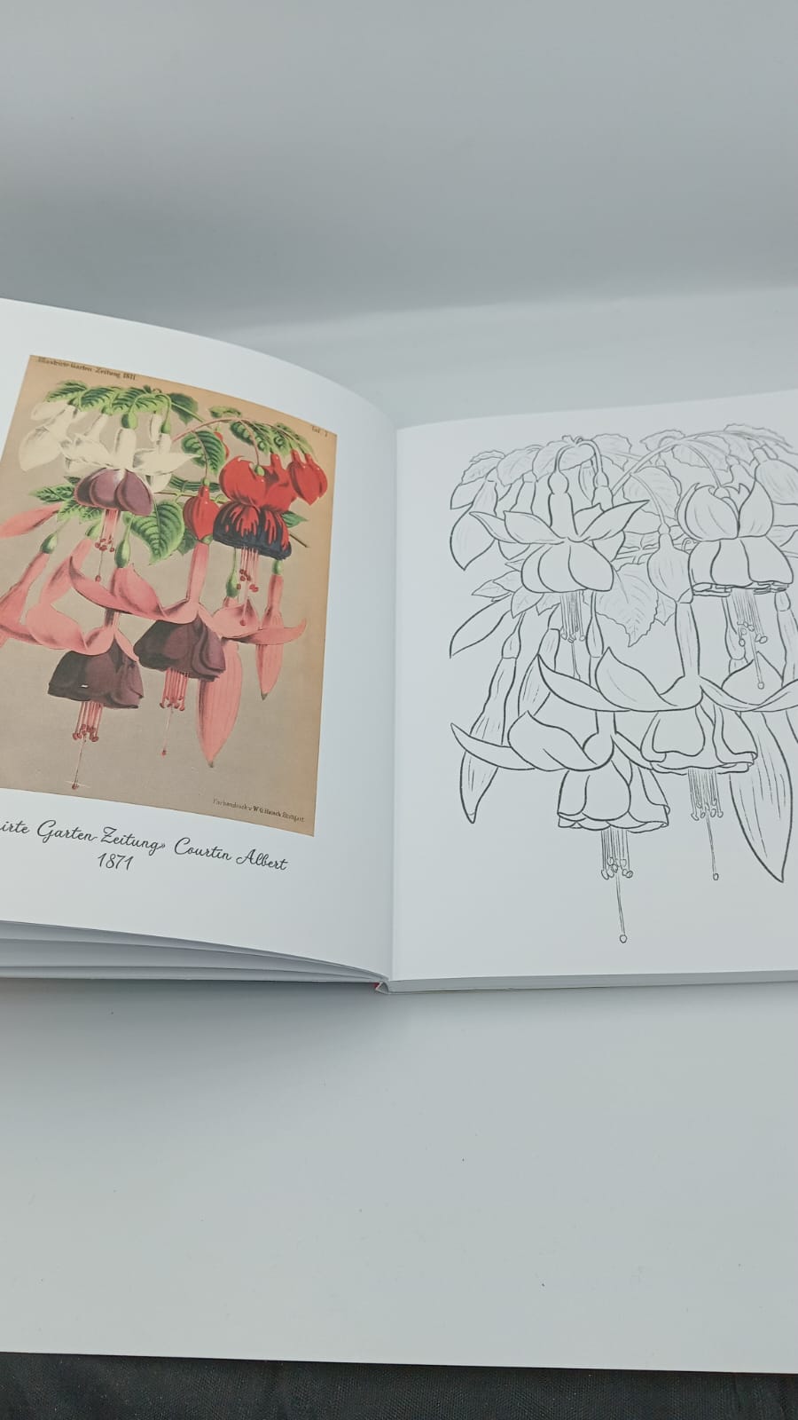 Livre - coloriages avec des fleurs - AZUVIA
